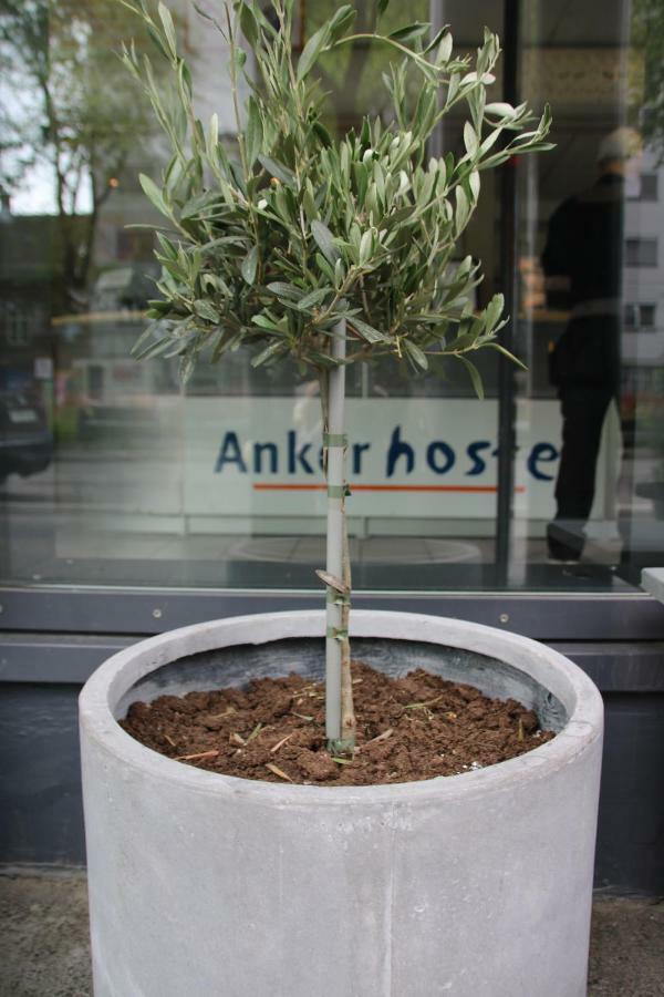 Anker Hostel Осло Екстер'єр фото